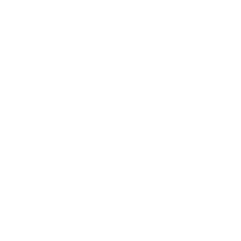 Safy Agency